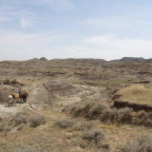 The Sand Arroyo Badlands east of Fort Peck Lake. One place where there is still plenty of bare ground and cactus.